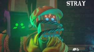 Предательство  | Stray | #6