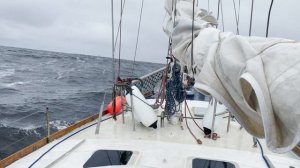 Тикси от Родиона короткий