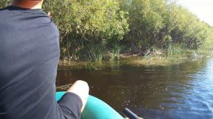 Рыбалка на Щуку с Лодки. Ловля на блесну и нагруженную резину. Рыбалка на Спиннинг 2025