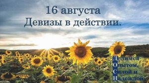 16 августа. Девизы в действии.