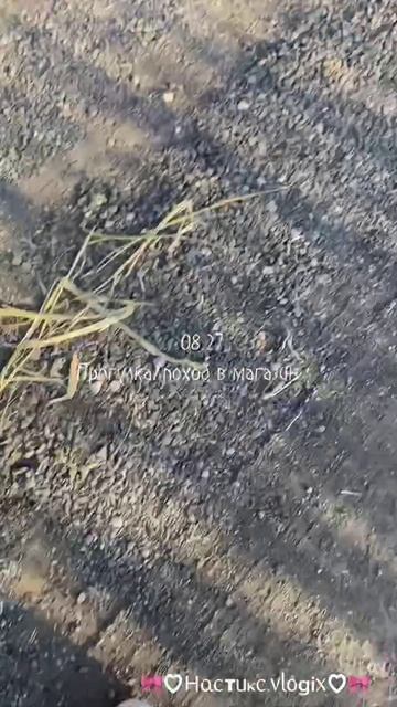 Мой влог 🎀 смотреть онлайн