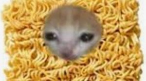 Ч.В.П.Д