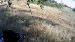 Поездка за дикой смородиной.😊