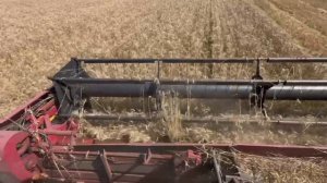 Выращиваем с любовью