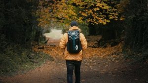 14135309_3840_2160_50fps