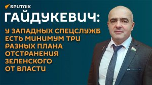 Гайдукевич: у спецслужб запада есть три варианта отстранения Зеленского от власти