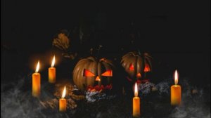 20389335-uhd_3840_2160_30fps
