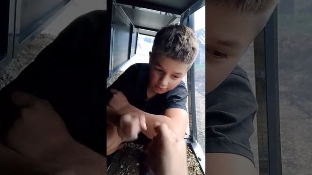 новая рубрика смотреть онлайн