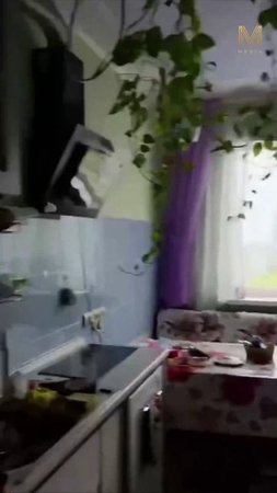 ТОЛЧКИ 7-8 БАЛЛОВ! САМОЕ СИЛЬНОЕ ЗЕМЛЕТРЯСЕНИЕ НА КАМЧАТКЕ #камчатка