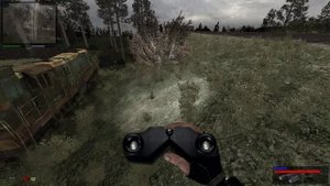загадка Толика