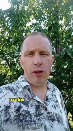 GPT вместо Яндекса.