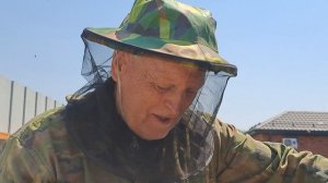 Мы с невесткой Танюшей делаем ревизию очень слабенькой семейки !!!