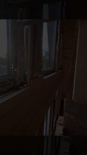 1000030551.mp4 (Собака наблюдает за креплением имитации бруса в доме А-фрейм)