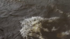 5. Отправление из Юрьевца (4)