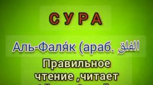 2025.🌹Аль Фаляк — 113 сура Корана красивое и правильное чтение. 🌿