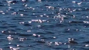 Песня на стихи Анатолия Вотякова  видео с солнечными зайчиками на Печоре Ирины Беляевой