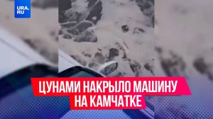 Цунами накрыло машину на Камчатке после сильного землетрясения