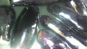 Долма из баклажанов по-азербайджански