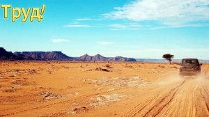 МИР! ТРУД! МАЙ!