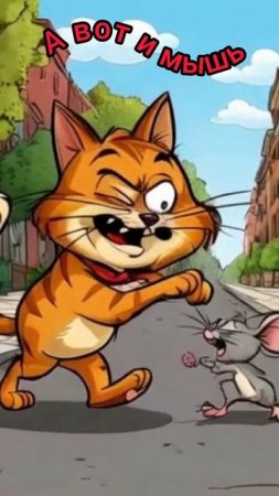 Мышь держись кот идёт