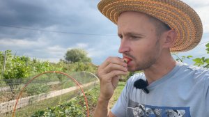 Делаем супер огород мечты, чтобы выращивать полезную еду без химии в своём поместье