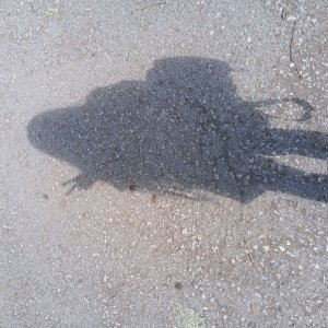 общаемся и едем в белово