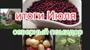 жизнь на Крайнем Севере/улыбка 🍅/загораем/купаемся