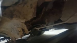 День на участке.
