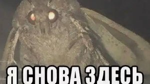 Я ВЕРНУЛААААСЬ!! (много ору в микрофон) НОВОСТИ!!!! МАСЯ РОДИЛА МАШИНА СЛОМАЛАСЬ ПЛАНШЕТ СЛОМАЛСЯ!