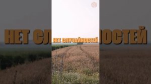 #БлагоВест ✴ НЕТ СЛУЧАЙНОСТЕЙ