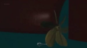 Устройство дейдвудного уплотнения современных судов