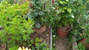 Конкурс Хочу всё знать! 2 этап, Ксения Рудакова, ОС, 2025