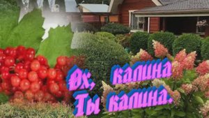 Ох , калина- ты калина--Автор  Людмила Бурачевская-канал-Музыка Любви и Надежды