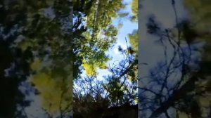 Тихая бухта Нижневартовск.mp4