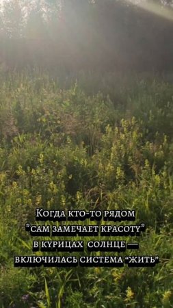 Будни женщины с хозяйством и характером
