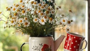 Доброе утро 💛🌞🤗