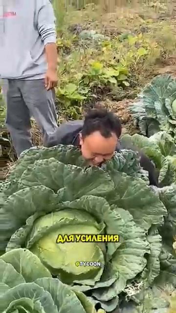 Еда. Еда ли?.... 🫩 смотреть онлайн