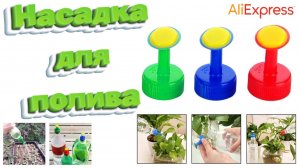 Насадка-лейка для полива комнатных растений из бутылки 🌼