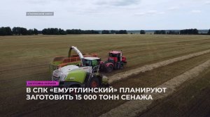 В СПК «Емуртлинский» планируют заготовить 15 000 тонн сенажа