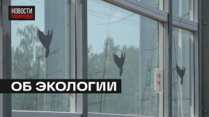 Более 15 000 наклеек нанесут на шумозащитные экраны в Мытищах