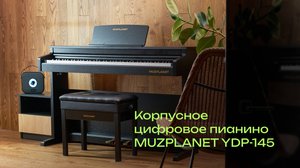 Корпусное цифровое пианино MUZPLANET YDP-145