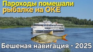 🔥Пароход и Ледокол разогнали рыбу🔥Топор-в БОРТ. Рыбалка на Оке - Бешеная навигация - 2025!!!