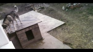 СМОТРЕТЬ ВИДЕО 2025 ПОД НОМЕРОМ 12