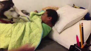 СМОТРЕТЬ ВИДЕО 2025 ПОД НОМЕРОМ 13