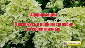 Аффирмации - Я нахожусь в полном согласии со своей жизнью