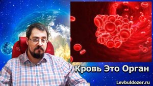 Кровь Это Орган. Стрим от 5 сентября 2021г. Темы в тайминге в описании