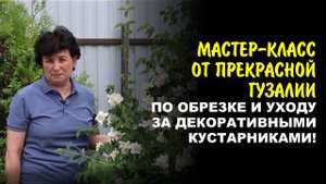 Как превратить ваш сад в шедевр: обрезка и подкормка. Советы профессионала.