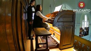 П.И. Чайковский Танец Феи Драже