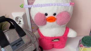 Собираемся с Милкой в поездку