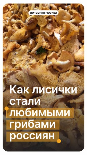 Как лисички стали любимыми грибами россиян? // Вечерняя Москва